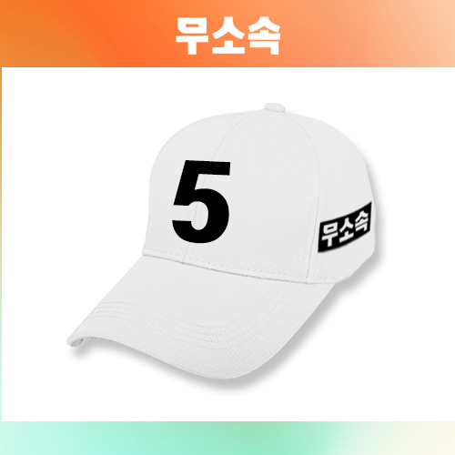 [무소속]선거용 모자